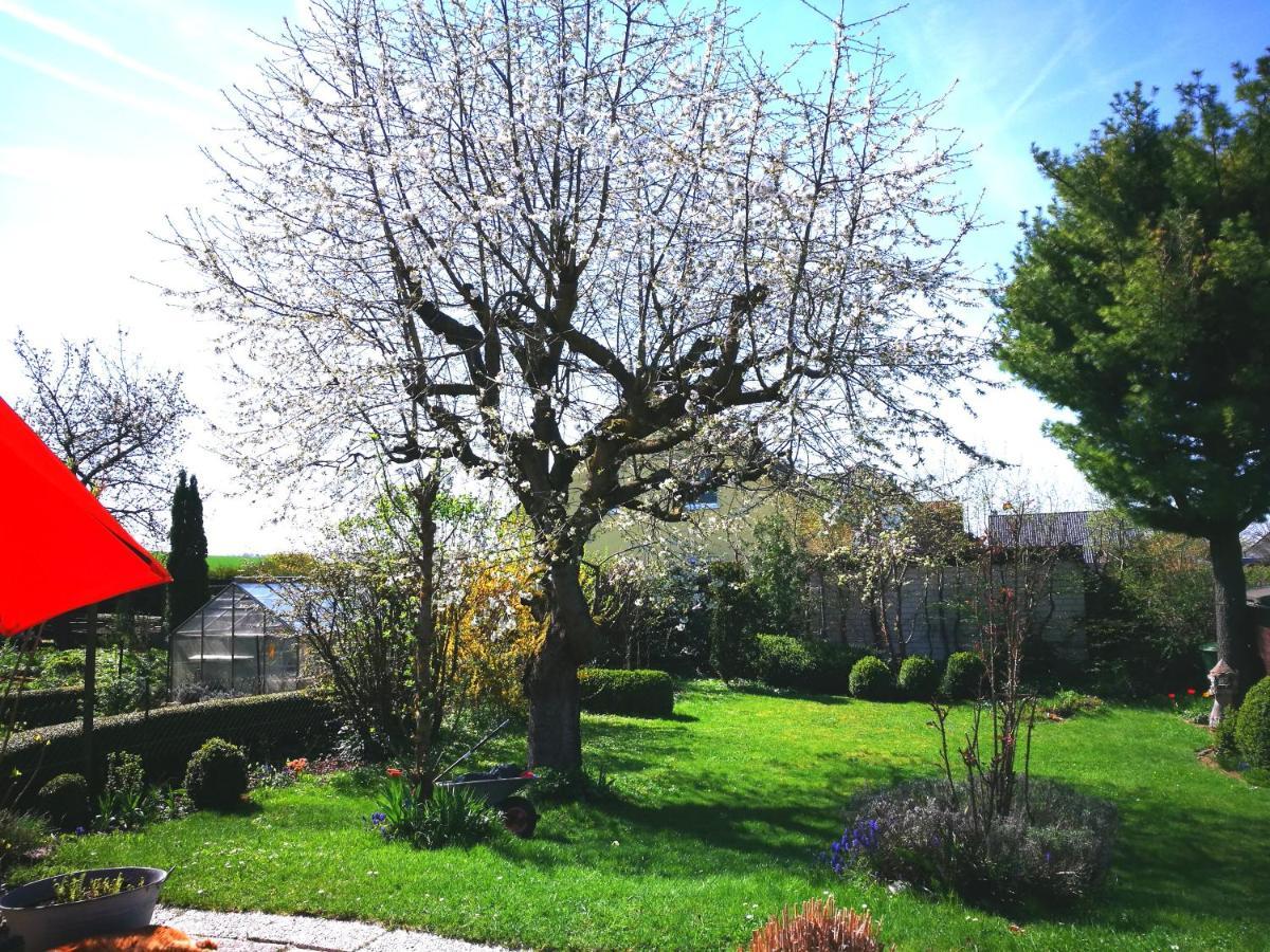 Ferienwohnung Varmissen Nah Bei Goettingen Dransfeld Экстерьер фото